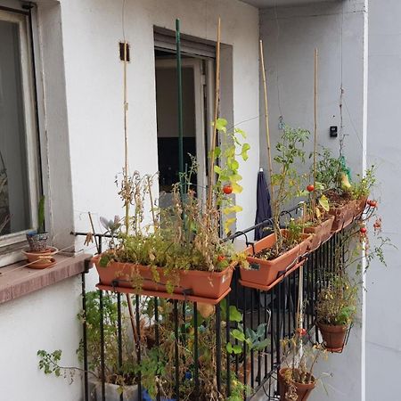 La Puisatiere 80 M2 Estrasburgo Exterior foto