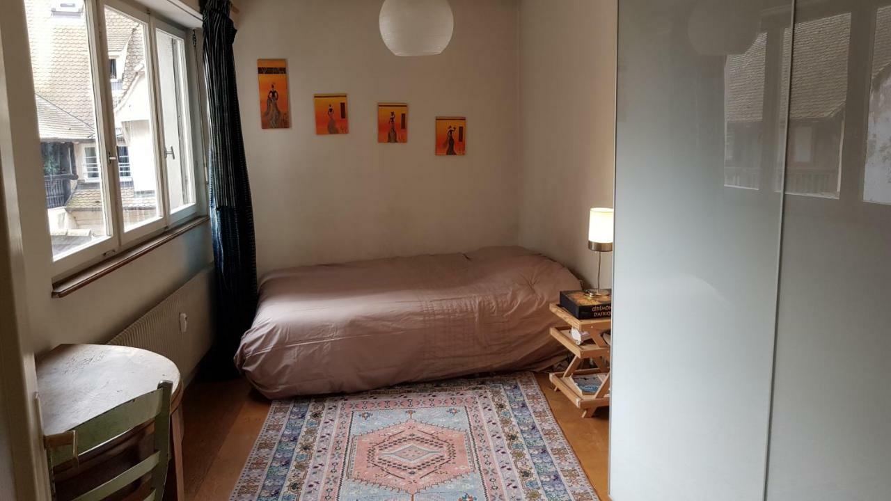La Puisatiere 80 M2 Estrasburgo Exterior foto
